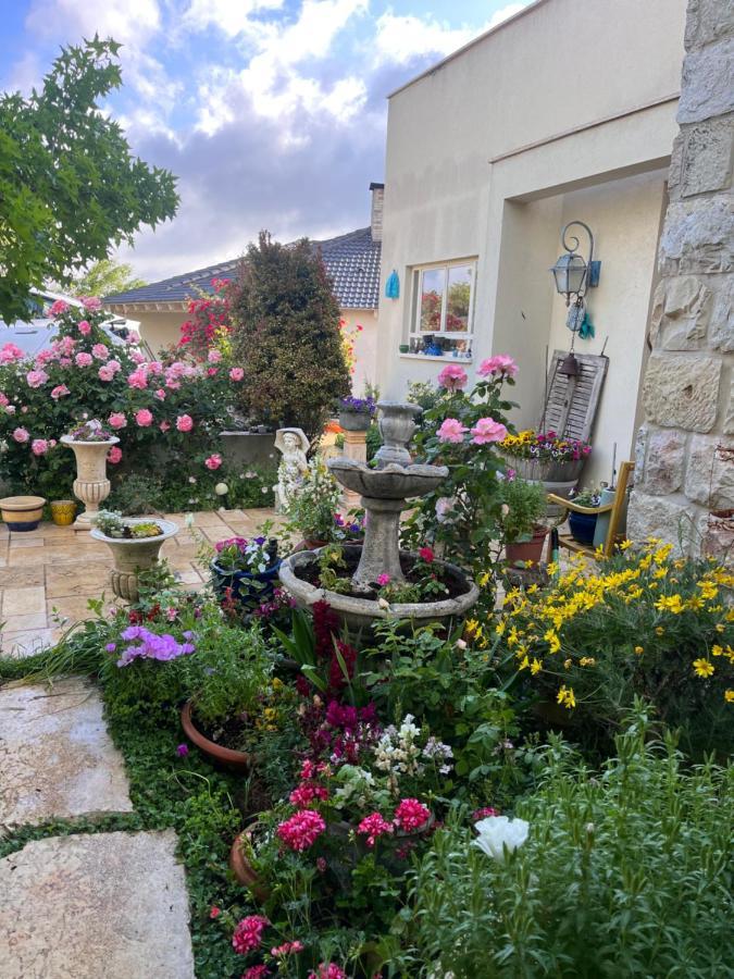 Apartament שלווה בהר Malkiyya Zewnętrze zdjęcie